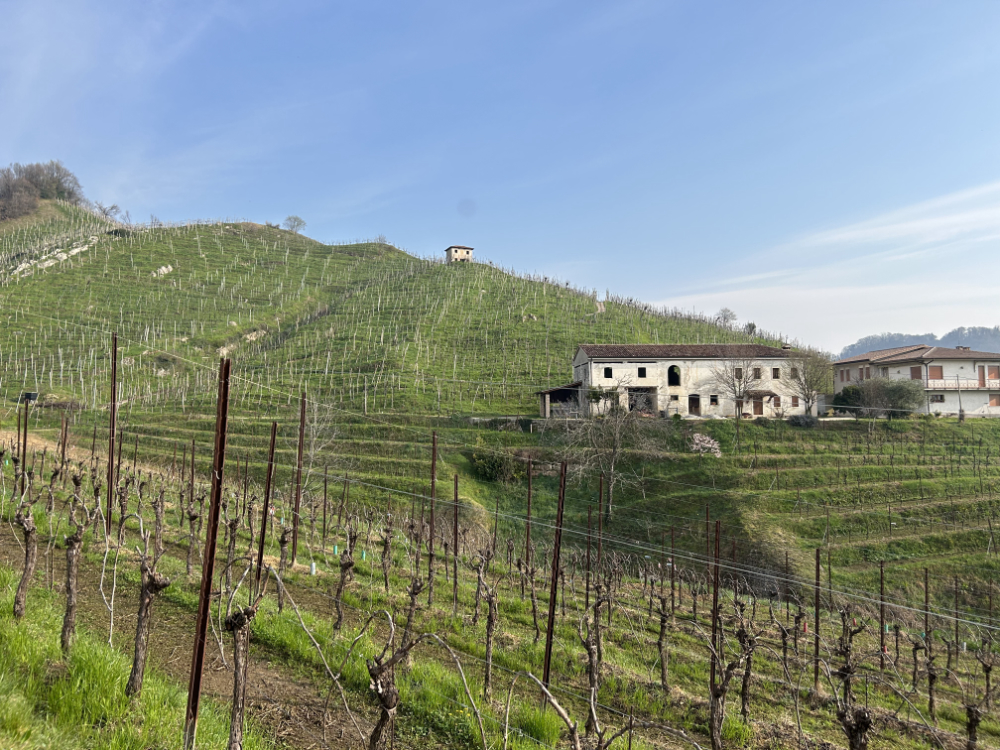 Le Colline del Prosecco in Camper
